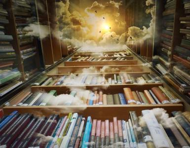 Hlavné typy a typy knižníc Čo sú knižnice a čím sa líšia