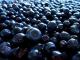 Why do you dream about large blueberries in the forest?